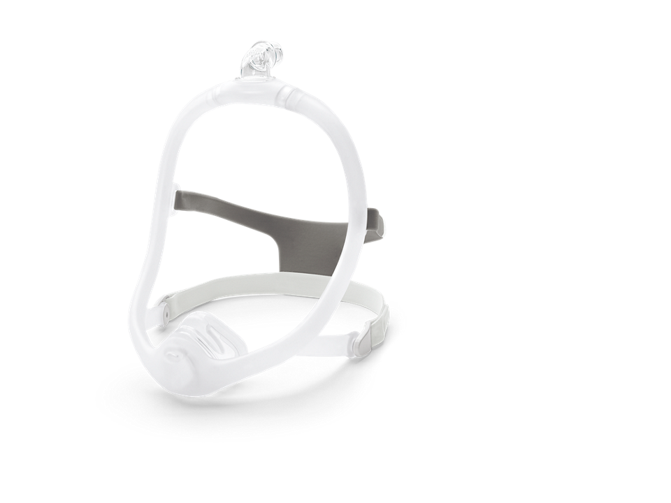 DreamWisp Nasal Mask
